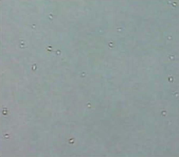 Mechanical scratch and pitting surface defects on sapphire substrate